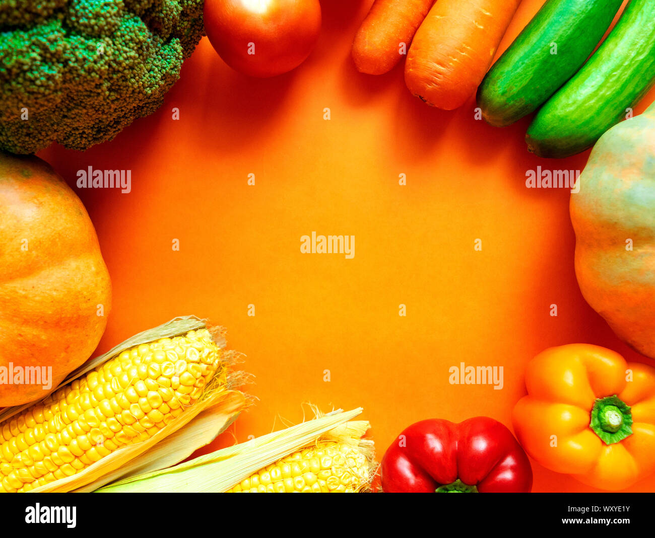 Frame of fresh vegetables with space for text on orange background ...