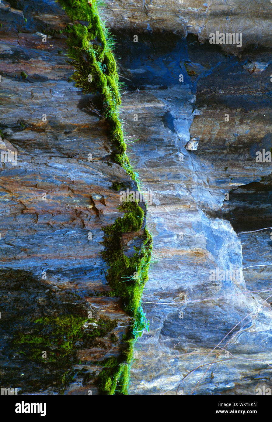 USA. California. Sierra Nevada. Mariposa. Close up of rock face with ...