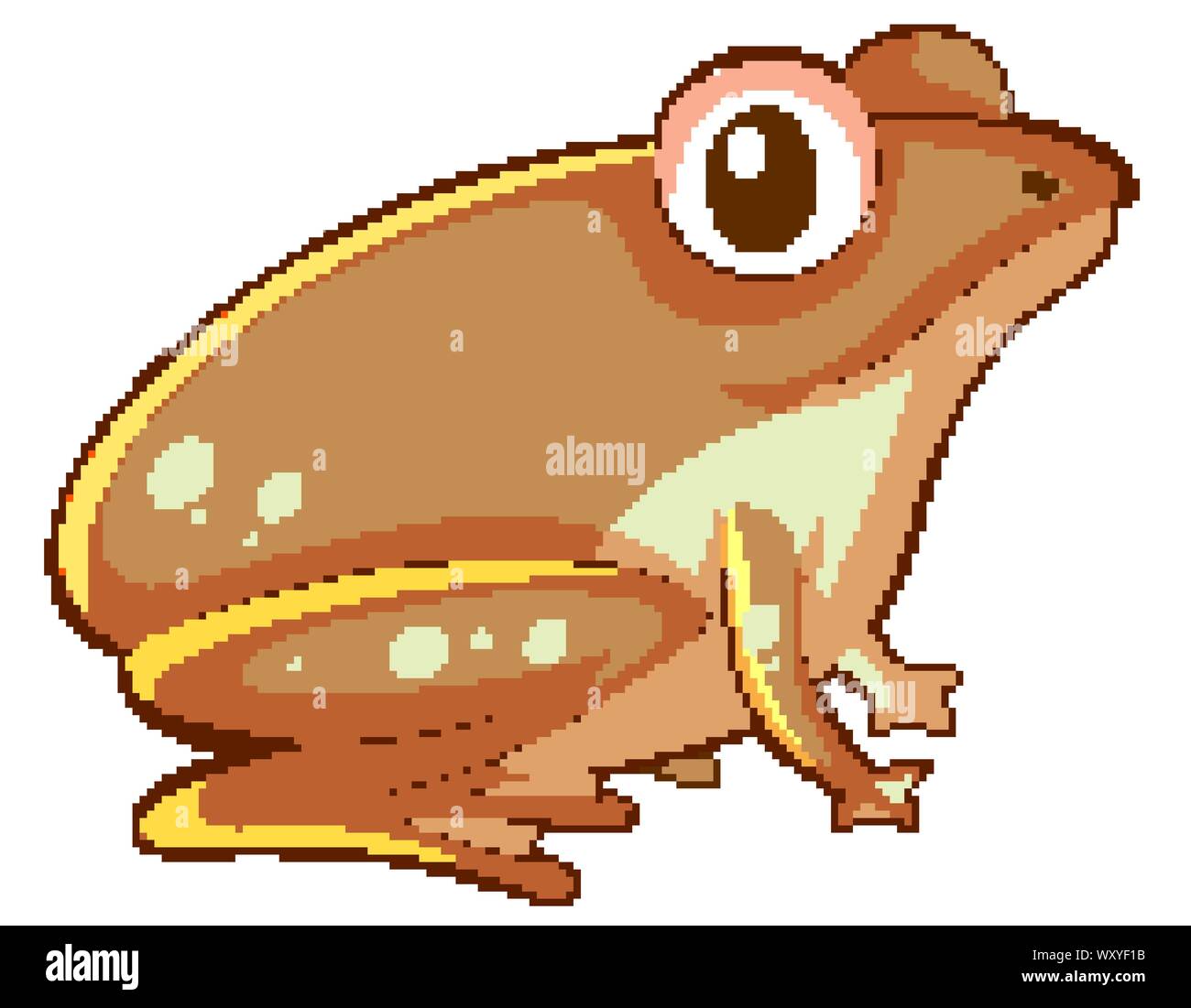 Brown frog on white background illustration Stock Vector