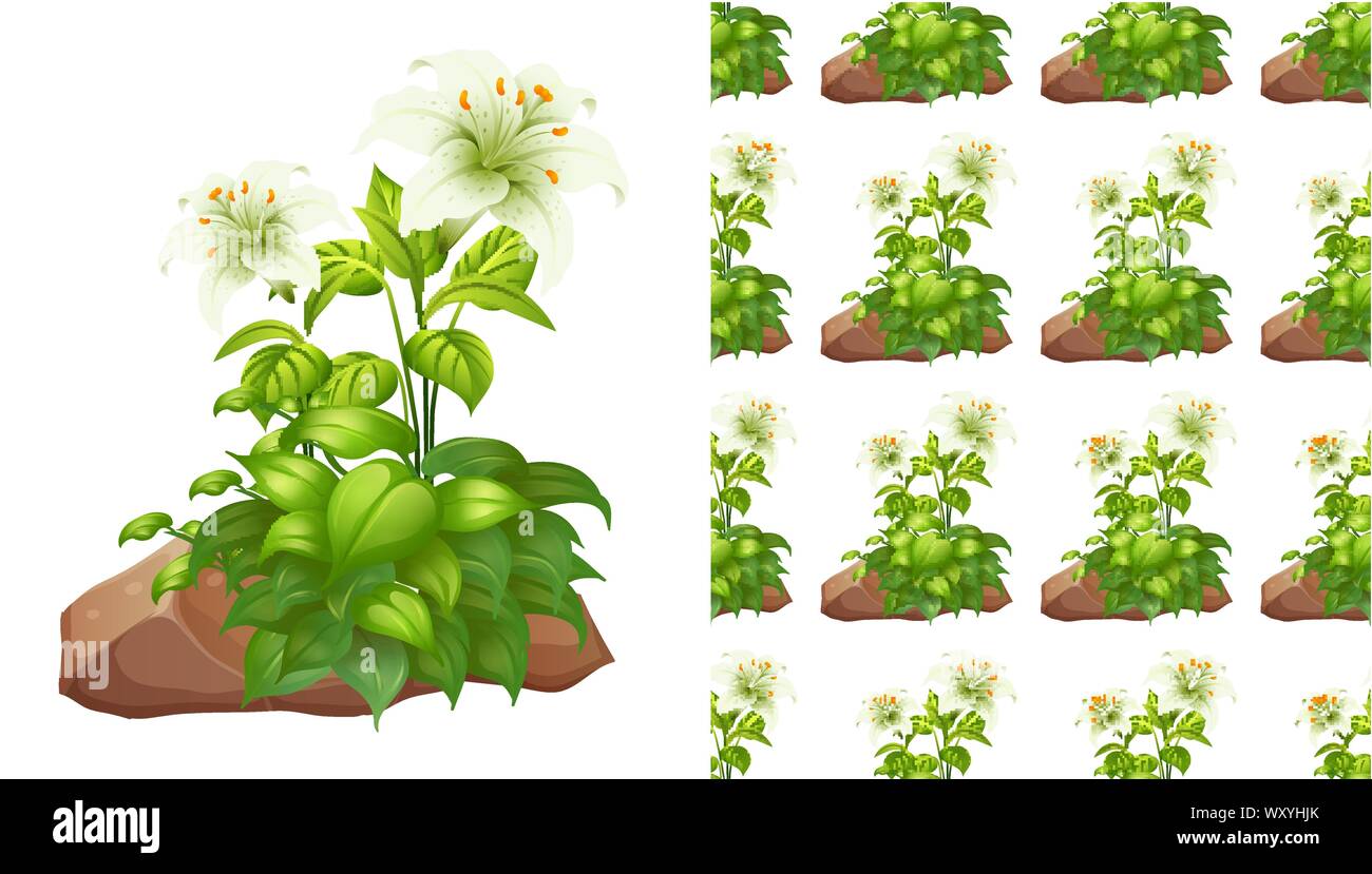 Seamless background design with white lily flowers and rocks illustration Stock Vector