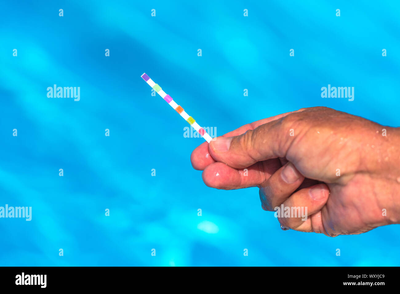 Ph paper chart hires stock photography and images Alamy