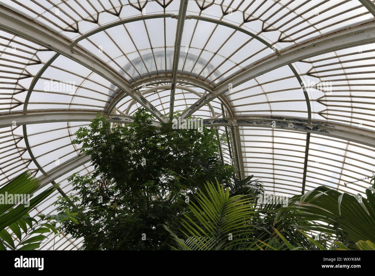 victorian glasshouse for tender tropical plants Stock Photo