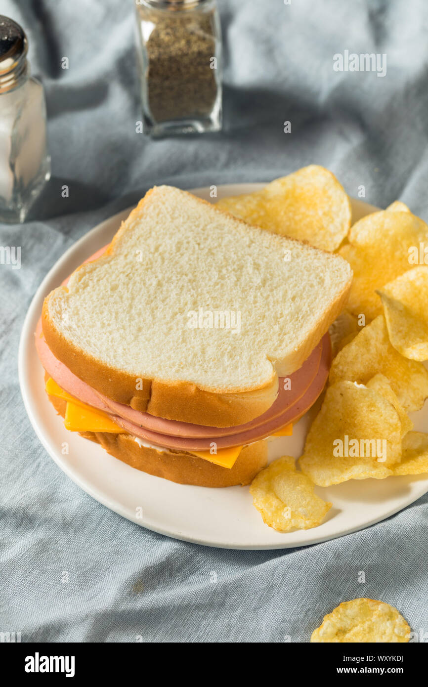 Homemade Bologna and Cheese Sandwich with Chips Stock Photo Alamy