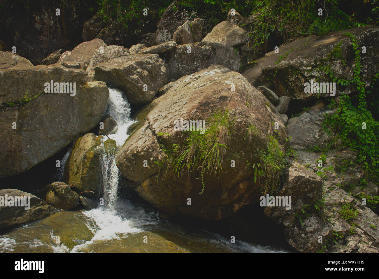 El Yunque west side, Rio Grande PR Stock Photo