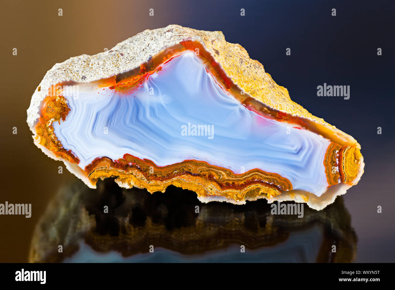 Polished agate cross section detail with reflection on dark shiny ...