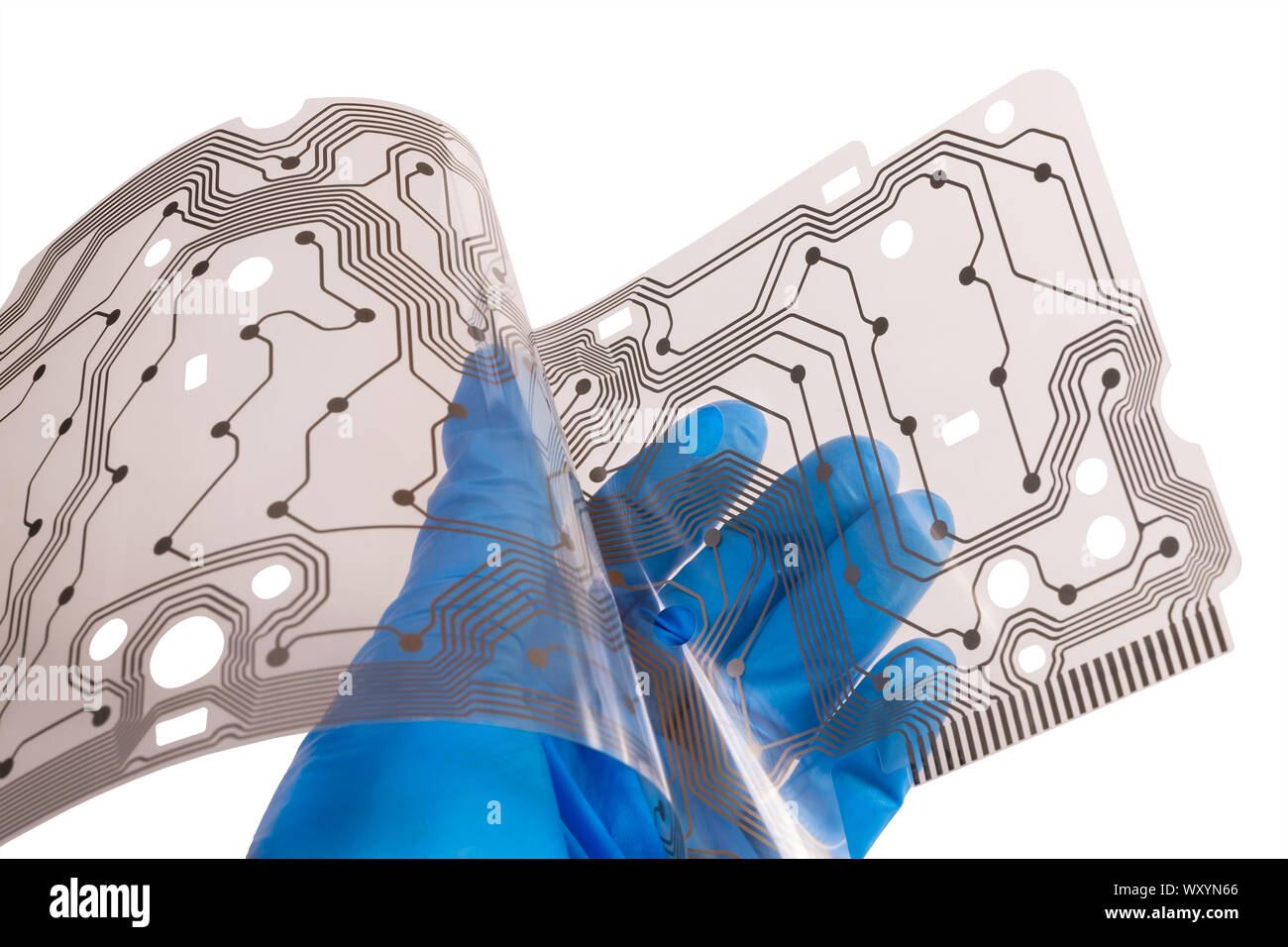 Plastic flex printed circuit board. Human hand in blue glove. Engineer holding a bent membrane of dismantled computer keyboard. Brown copper PCB layer. Stock Photo