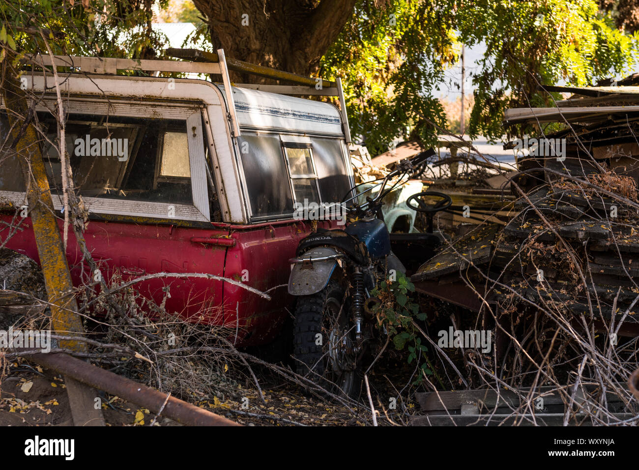 A Dirt Bike and parts of other vehicles abandoned in the undergrowth in ...