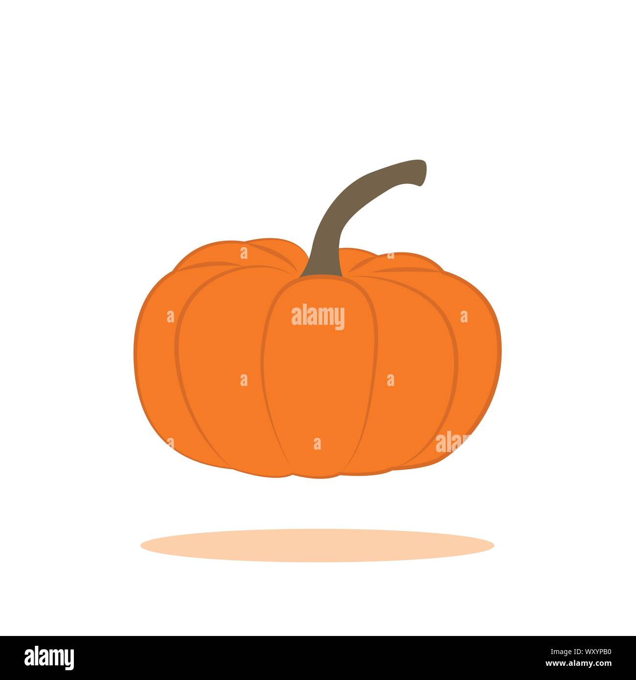 orange pumpkin isolated on white background vector illustration EPS10 ...