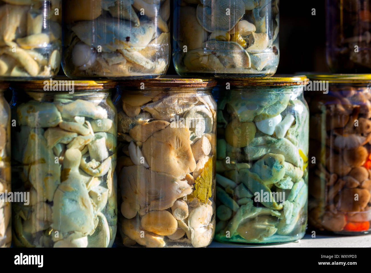 Pickled honey mushrooms in jars at village marketplace. Stock Photo