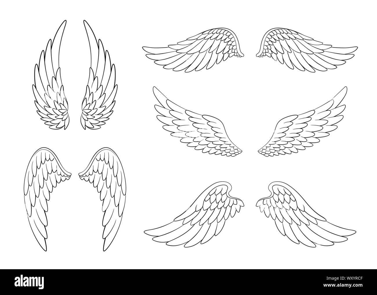 Set of hand drawn bird or angel wings of different shape in open position. Contoured doodle wings set isolated on white background. Stock Vector
