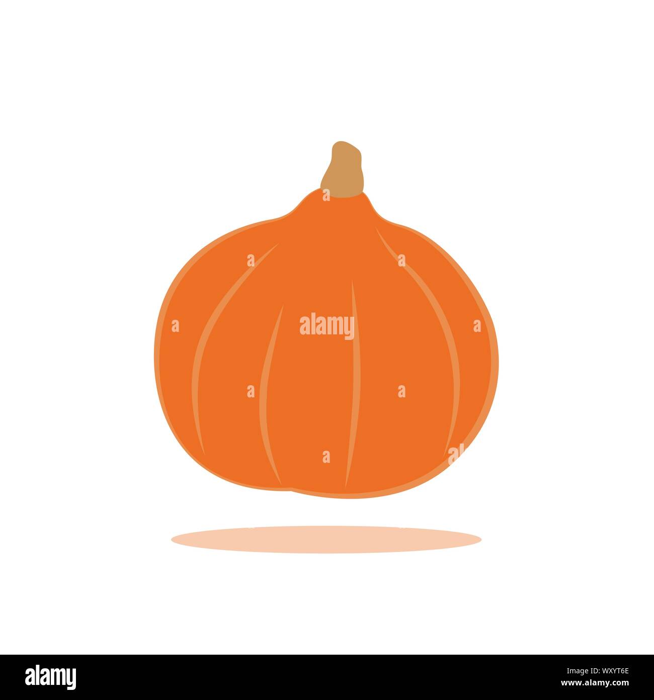 orange pumpkin isolated on white background vector illustration EPS10 ...