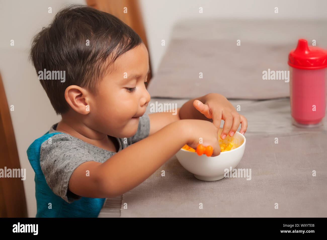 A cute toddler shows interest in eating a mac and cheese lunch, and holds spoon to self-feed. Stock Photo