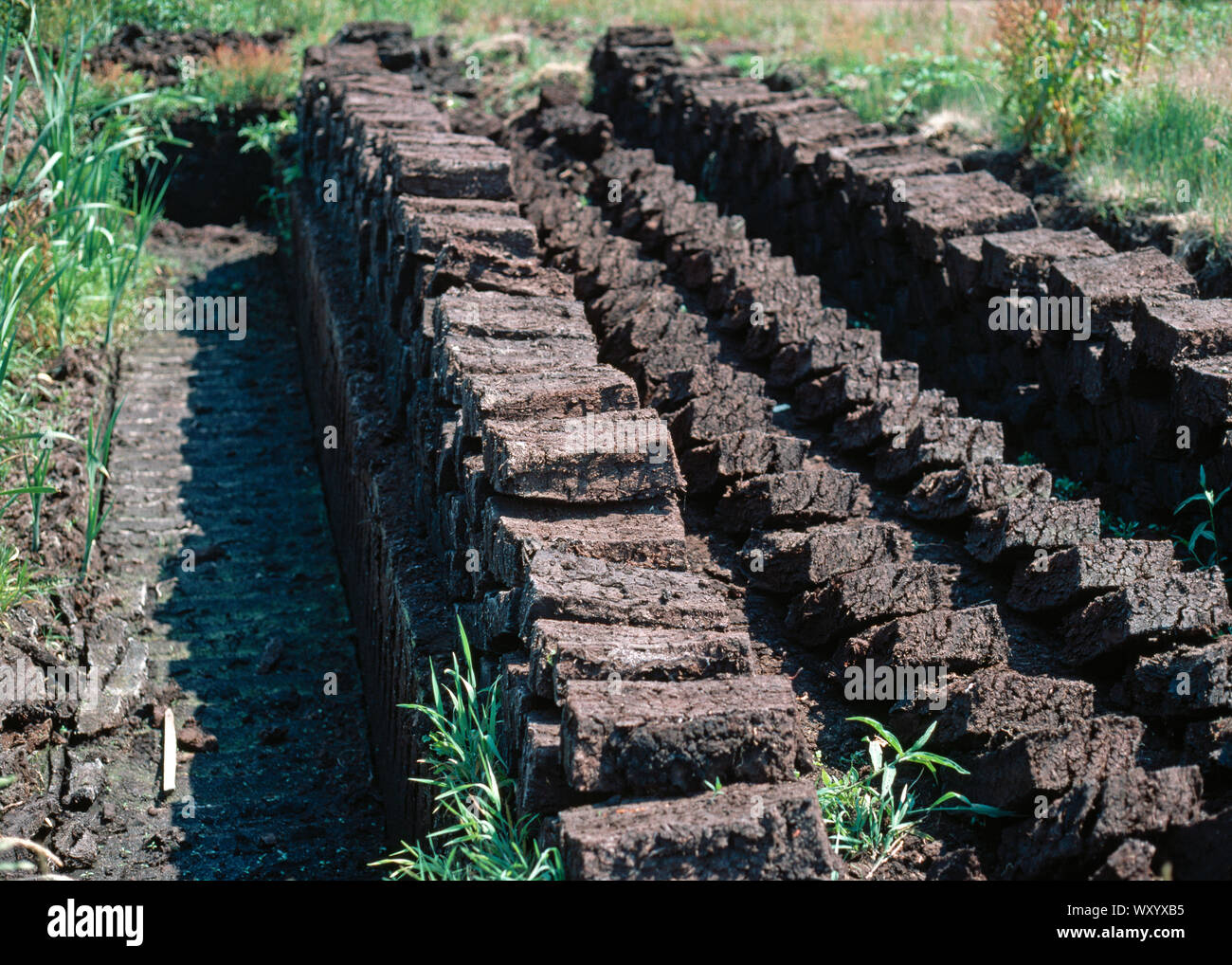 Peat extraction somerset hi res stock photography and images Alamy