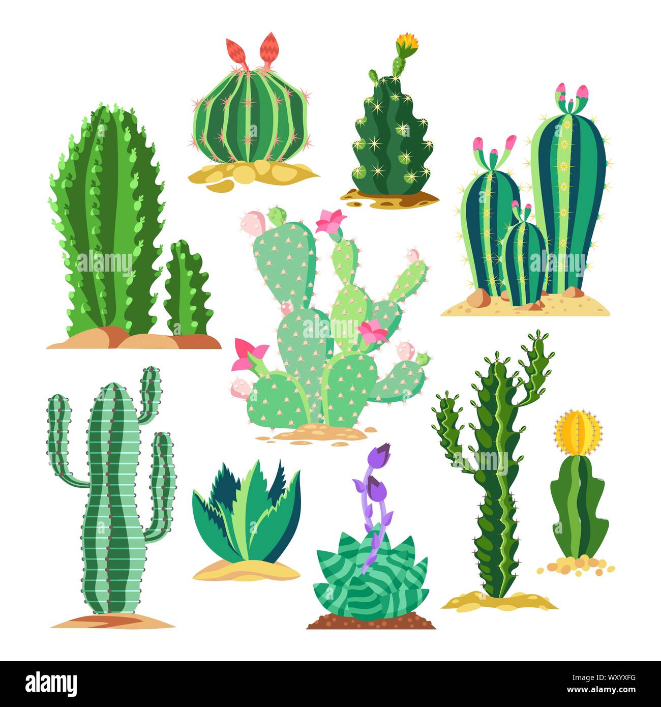 Set of wildlife cactus or succulent plant Stock Vector