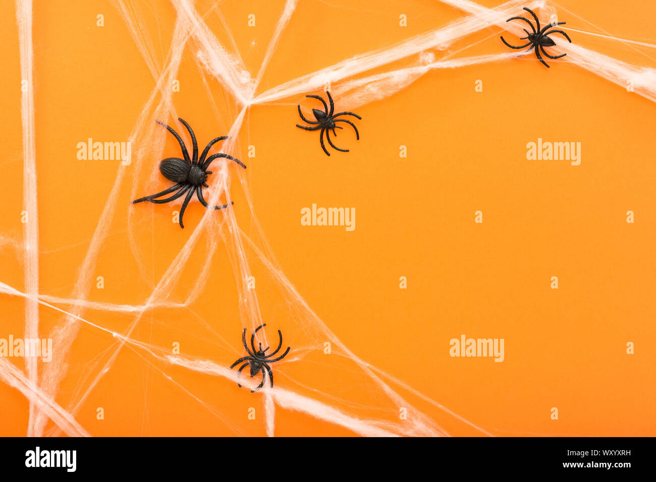 Halloween background with spider web and spiders as symbols of ...