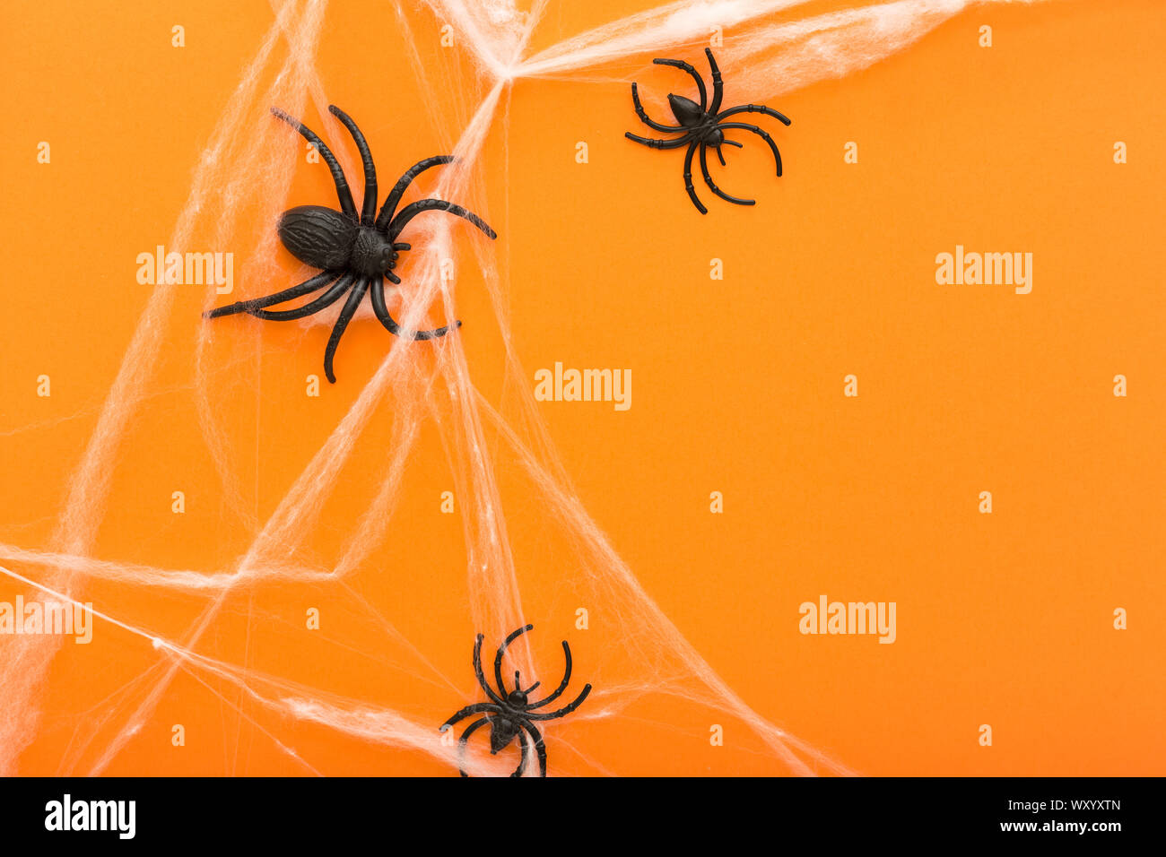 Halloween background with spider web and spiders as symbols of ...