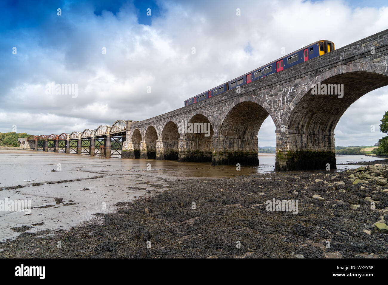 Rail Bridge over the River Tavy Devon Dartmoor Plymouth for the Tamar Valley Passenger Railway with Train on the Bridge Stock Photo