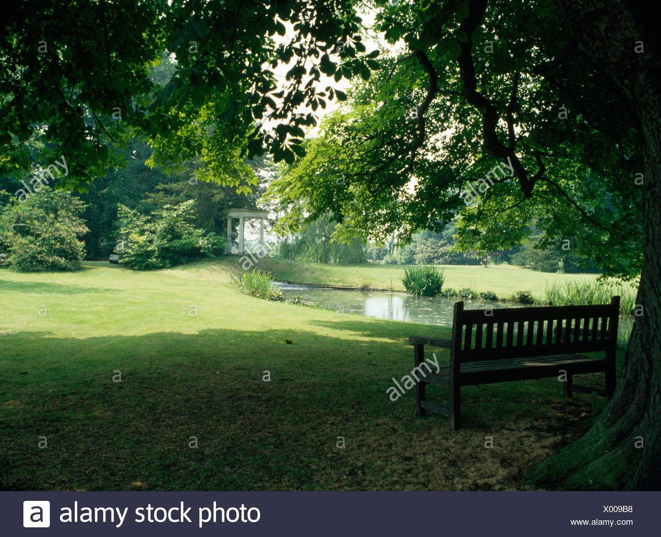 Wooden Bench In The Shade Of A Tree In A Large Country Garden With