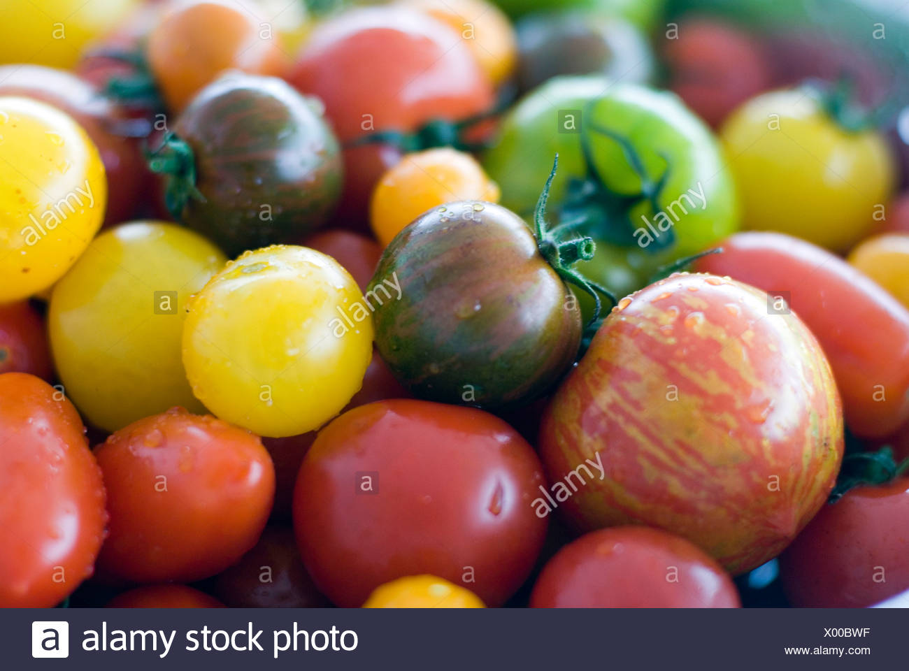 Vegetable Varieties High Resolution Stock Photography and Images Alamy