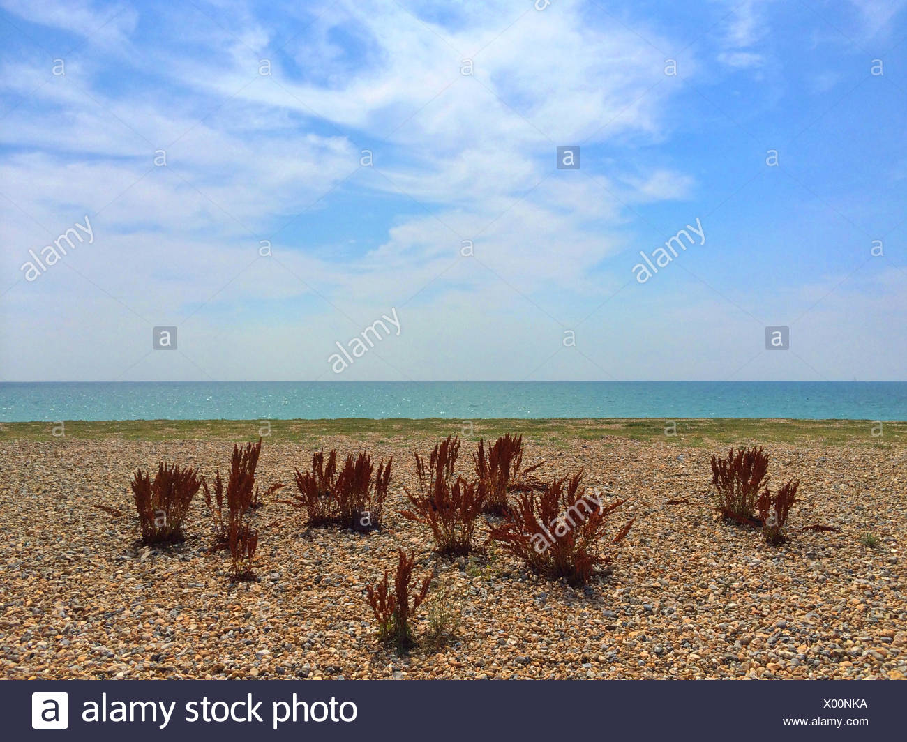 Goring On Sea High Resolution Stock Photography and Images Alamy
