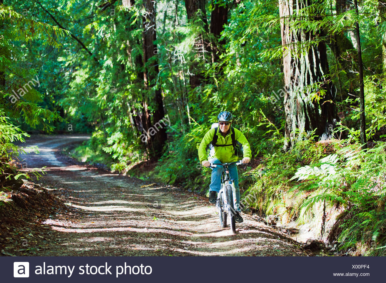 big basin mountain biking