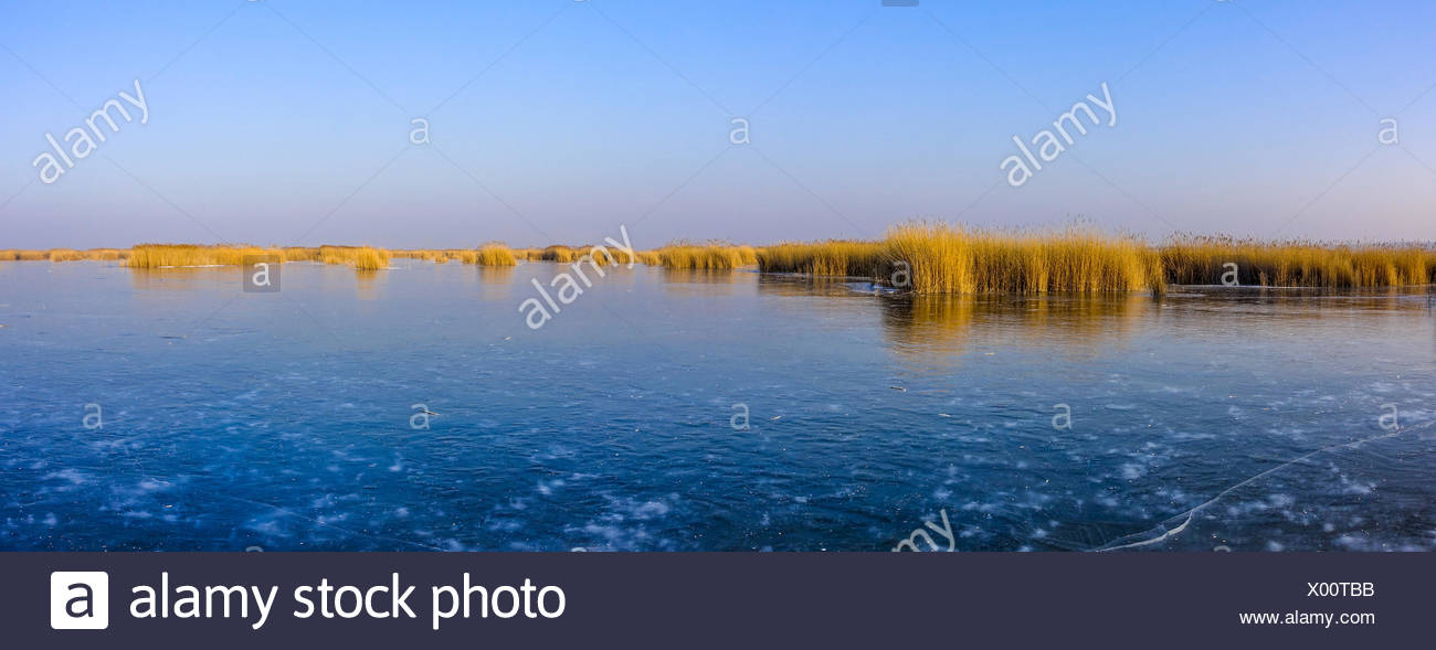 Neusiedler See Im Winter Europas Grosster Naturlicher Eislaufplatz Burgenland Osterreich Stock Photo Alamy