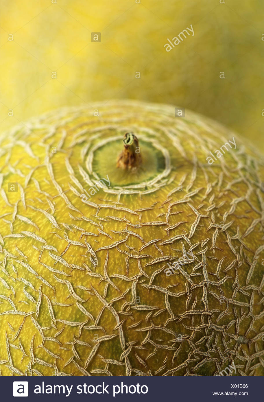 Sugar Melons High Resolution Stock Photography and Images Alamy