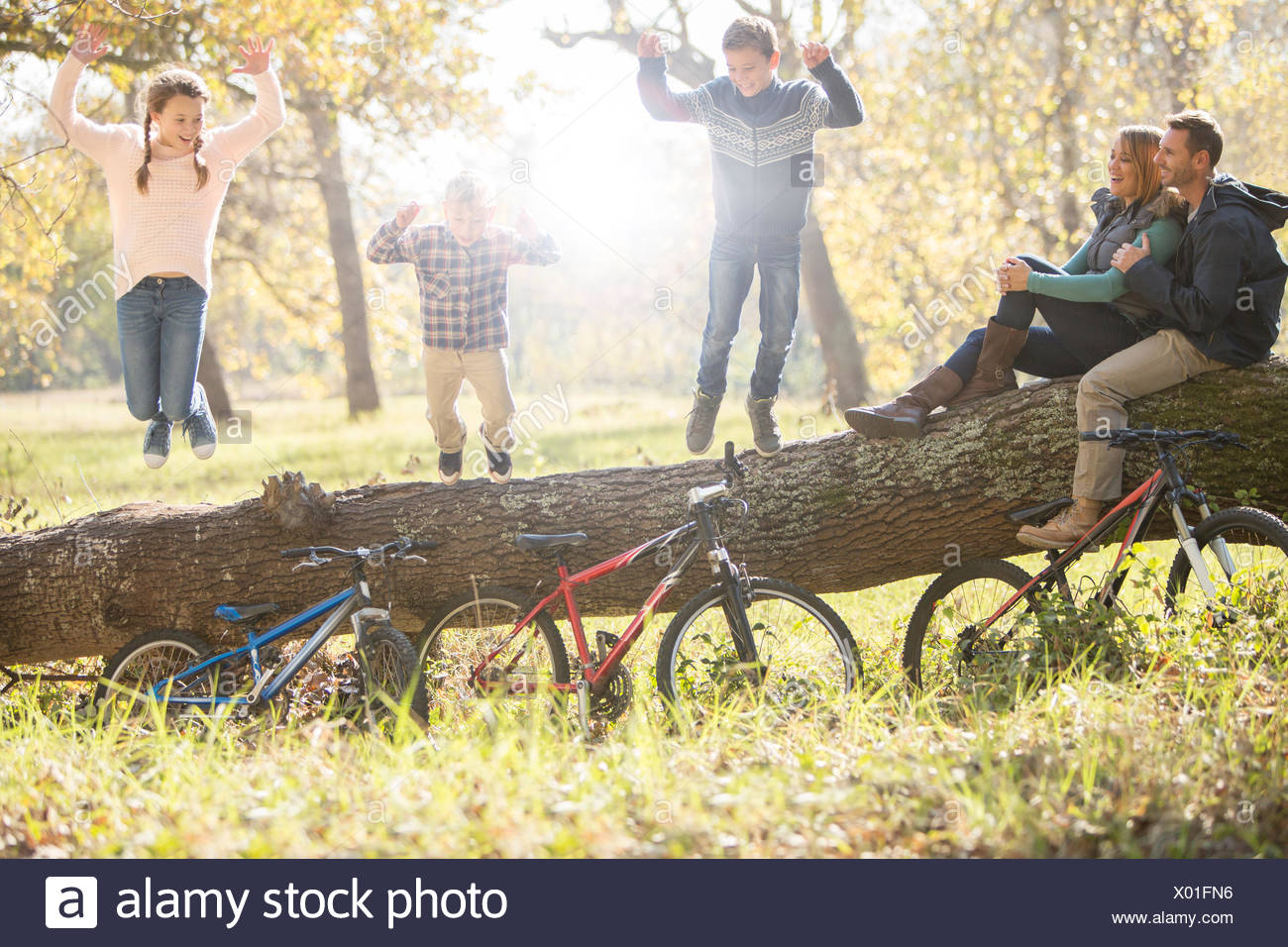 Family playing on fallen log with bicycles in woods Stock Photo