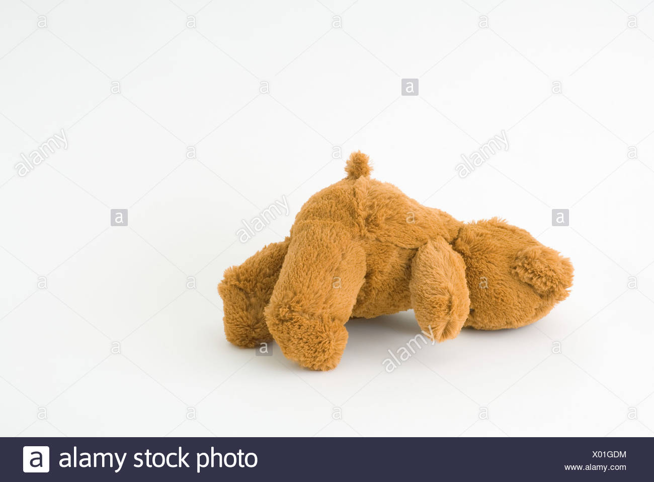 teddy bear laying down