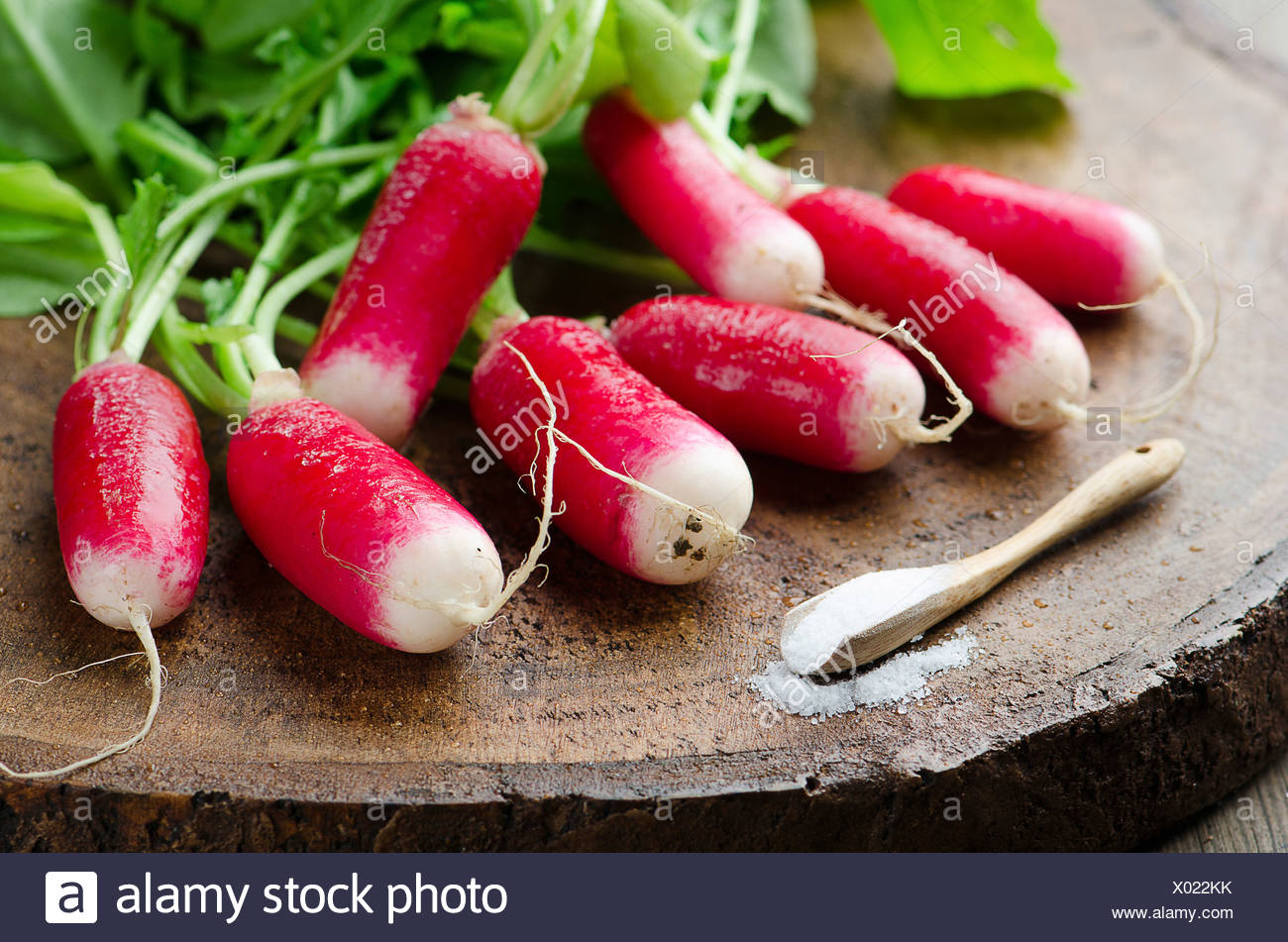 Fresh radishes on a wooden board Stock Photo