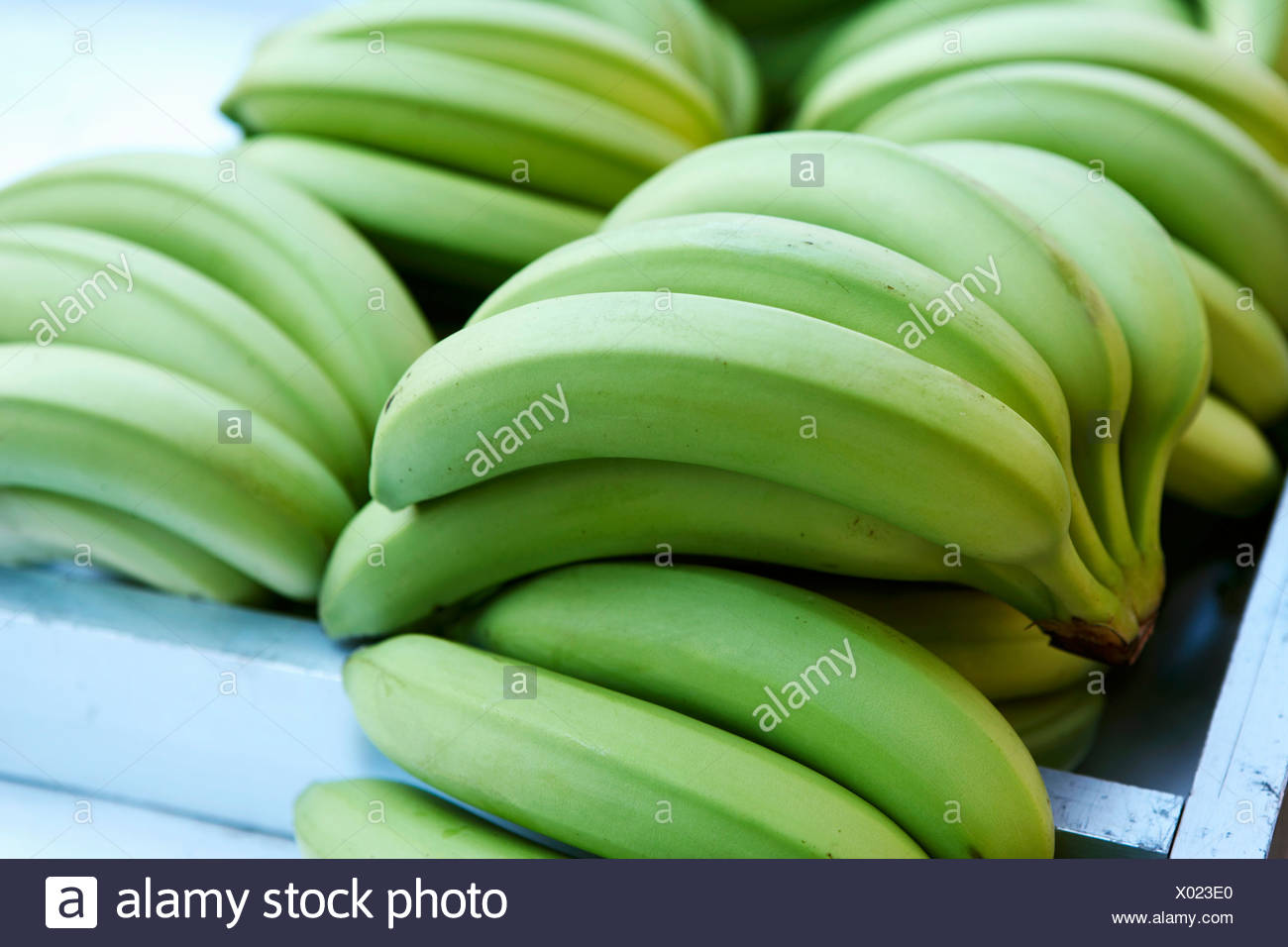 Unripe Bananas Stock Photos & Unripe Bananas Stock Images Alamy