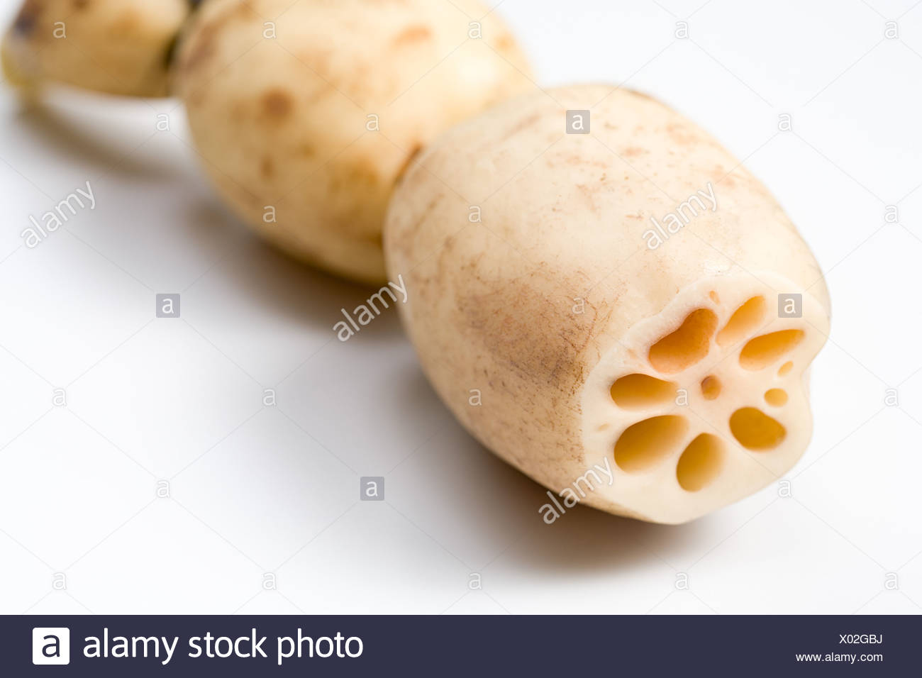 Lotus Root Stock Photos & Lotus Root Stock Images - Alamy