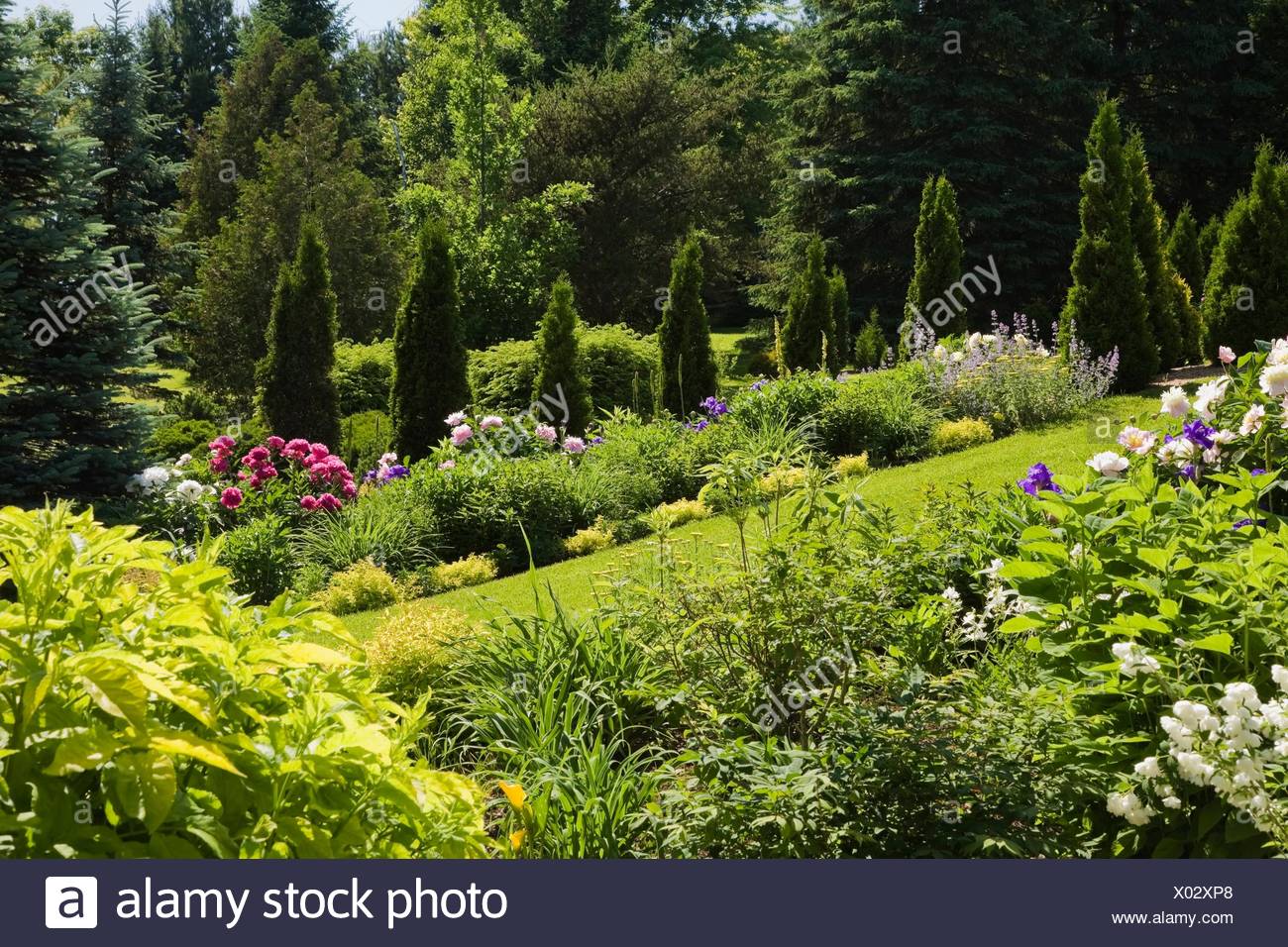 Garden Trees Border High Resolution Stock Photography and Images - Alamy