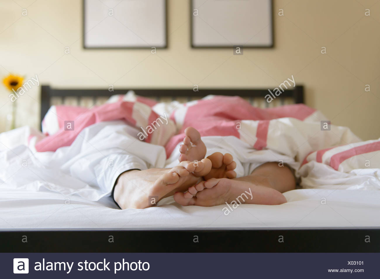 Female Feet Stock Photos & Female Feet Stock Images Alamy