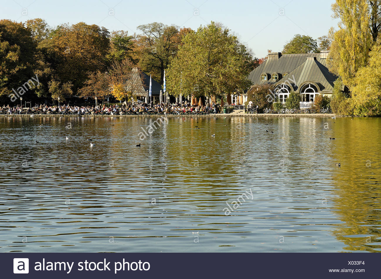 Kleinhesseloher Lake English Garden Englischer Garten Munich