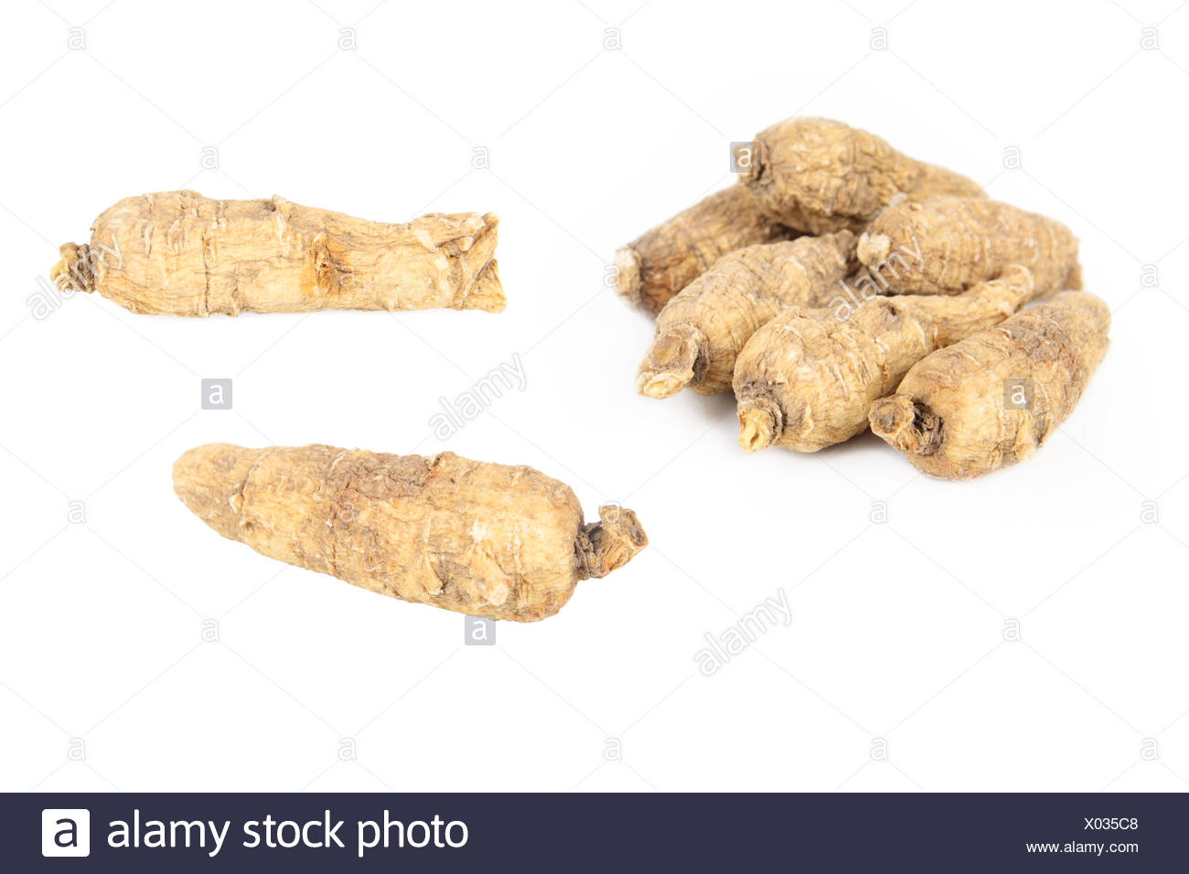 American Ginseng Stock Photos & American Ginseng Stock Images - Alamy