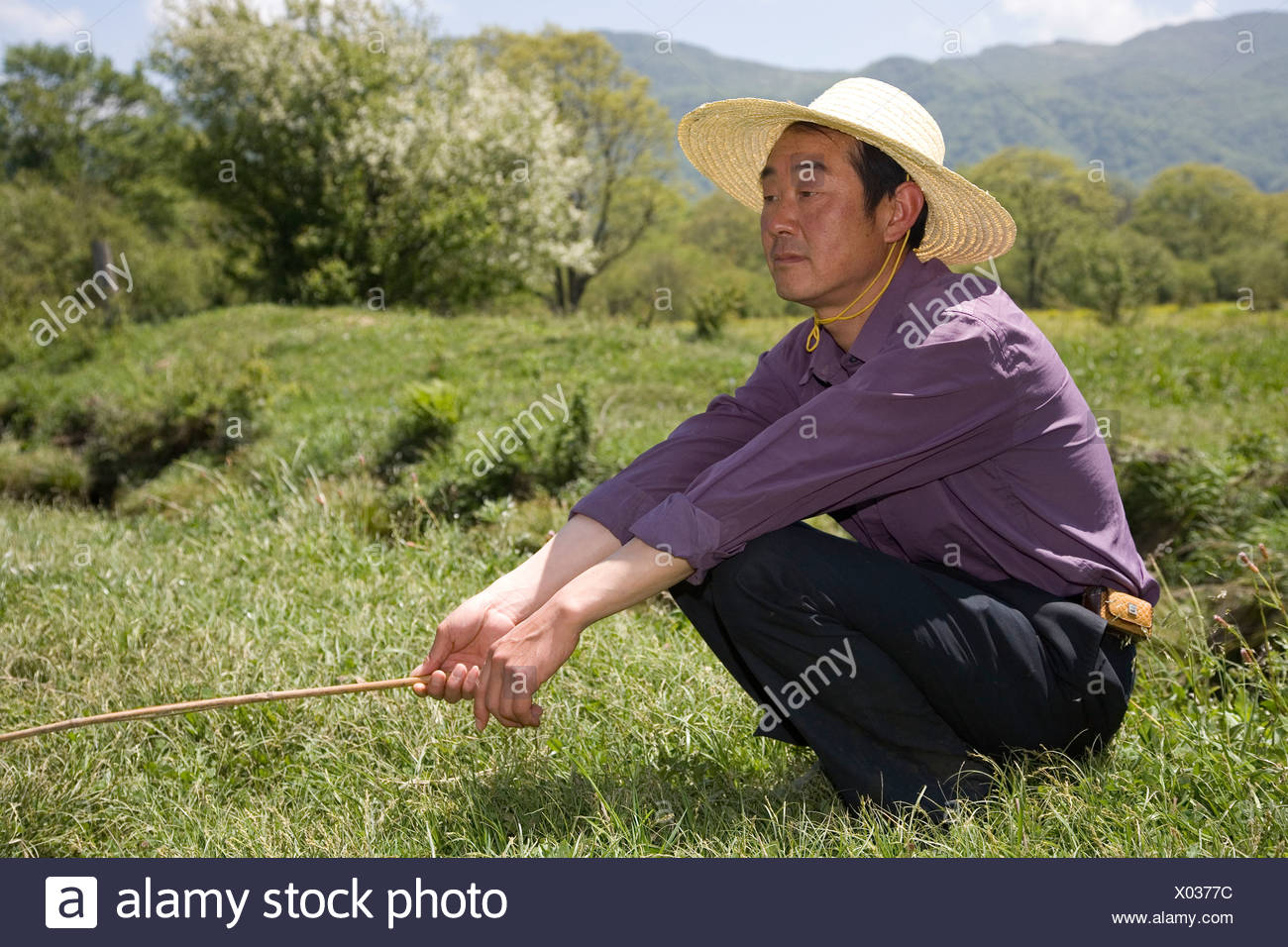chinese field hat