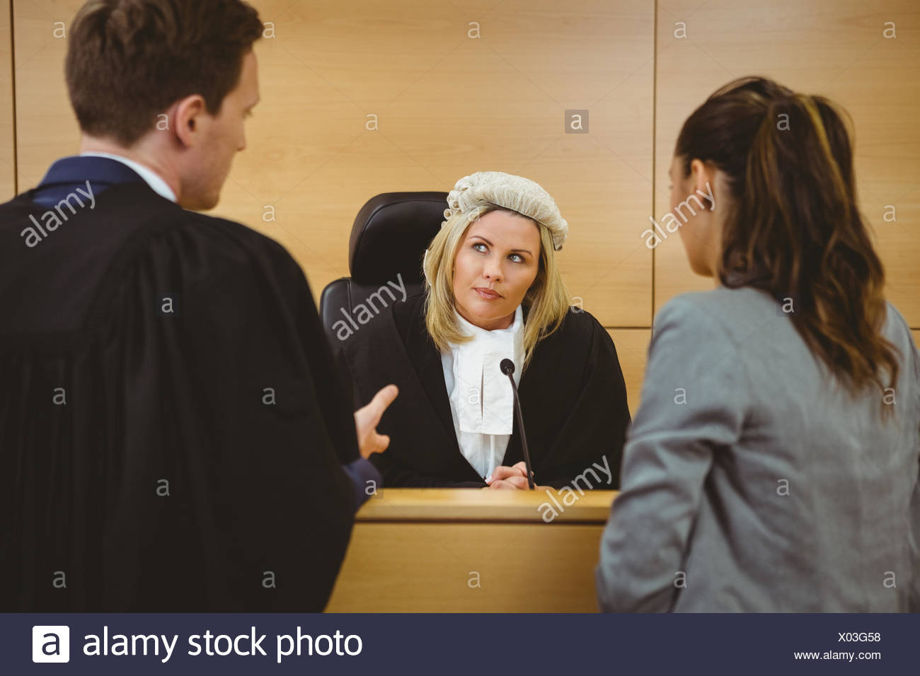 Fancy Dress & Period Costume Judge Wig Grey Lawyer Solicitor Law Court