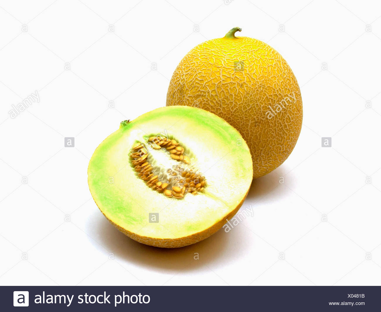 galiamelone (cucumis melo) Stock Photo
