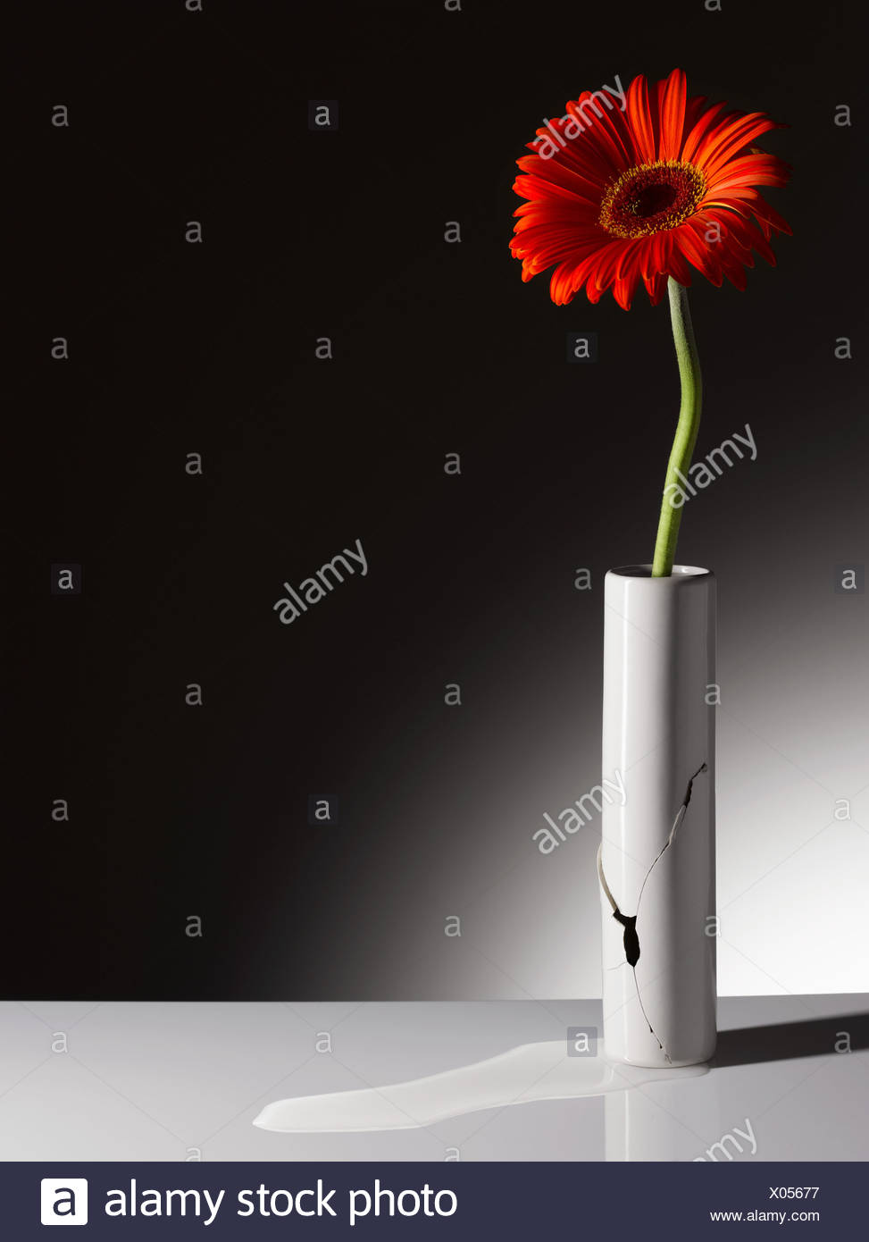 Broken Vase High Resolution Stock Photography and Images Alamy