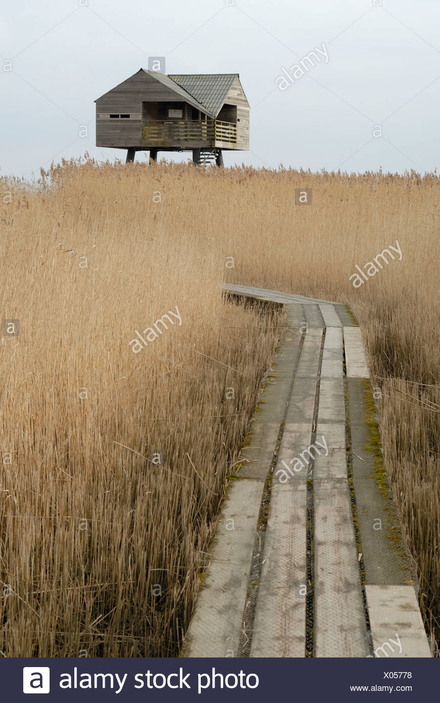A birding observation point near the Dollard Stock Photo