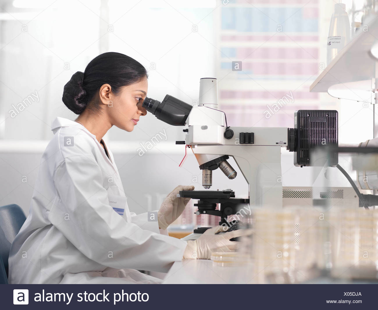 Laboratory Technician And Microscope Stock Photo Alamy
