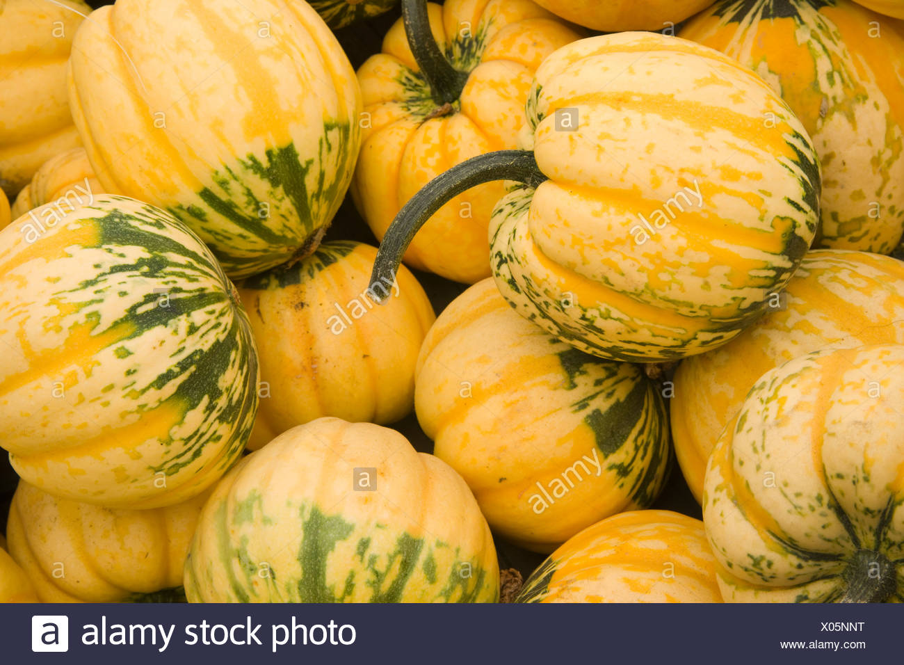 Squash Melon High Resolution Stock Photography and Images Alamy