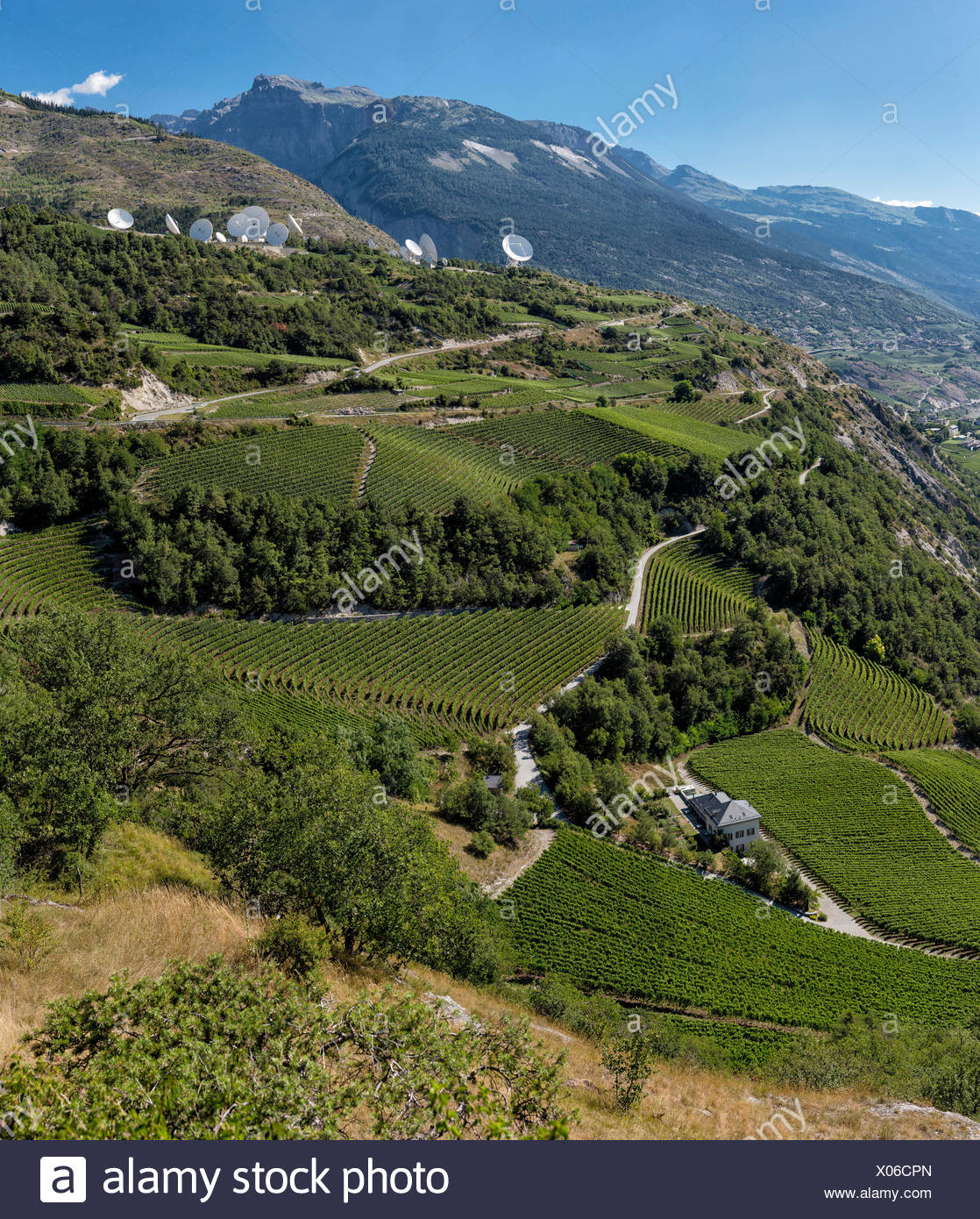Switzerland Vineyard High Resolution Stock Photography And Images Alamy switzerland-vineyard-high-resolution-stock-photography-and-images-alamy