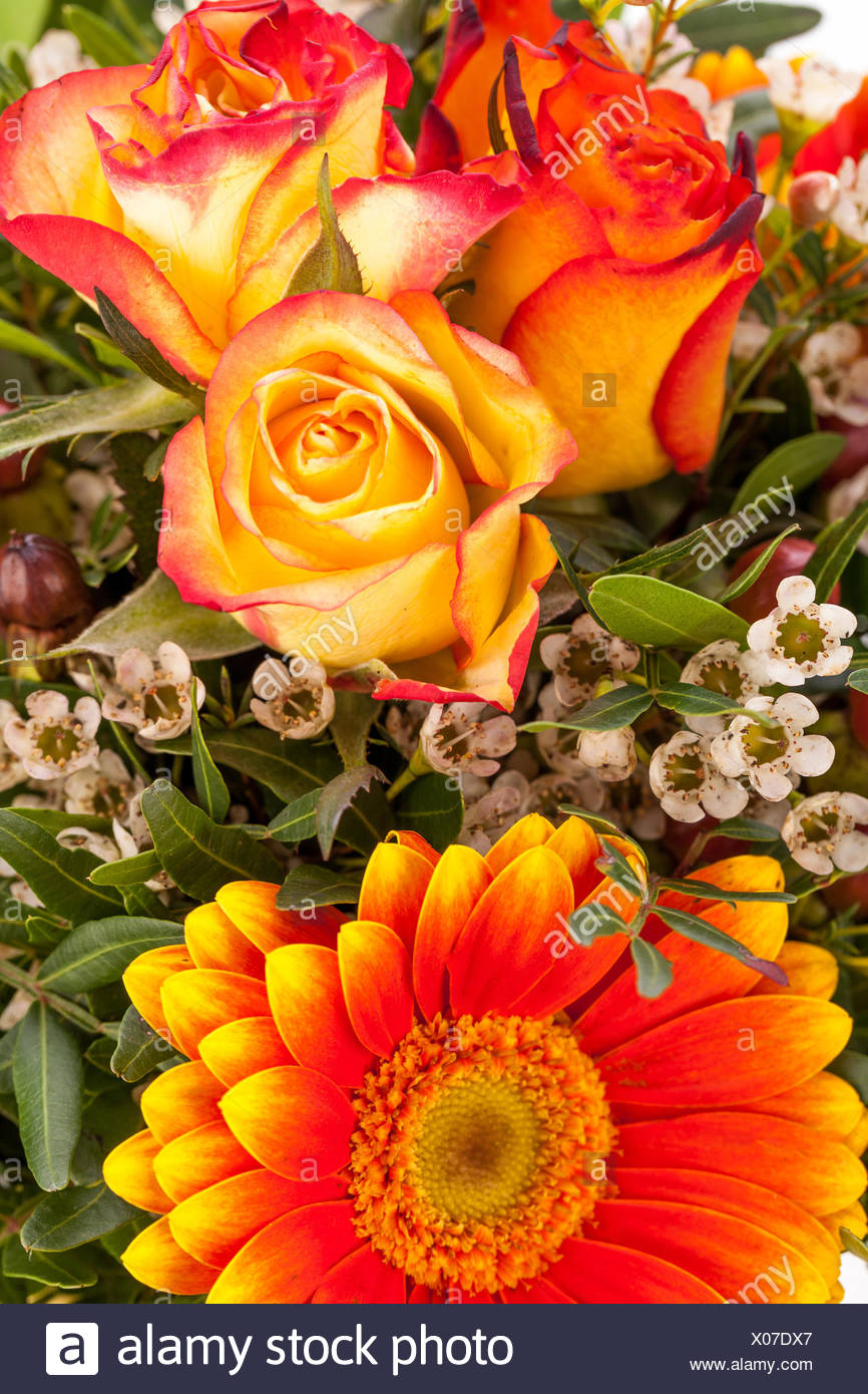 Bunte Frische Blumen Rosen In Rot Und Orange Dekoration Festlich Ostern Muttertag Geburtstag Valentinstag Stock Photo Alamy