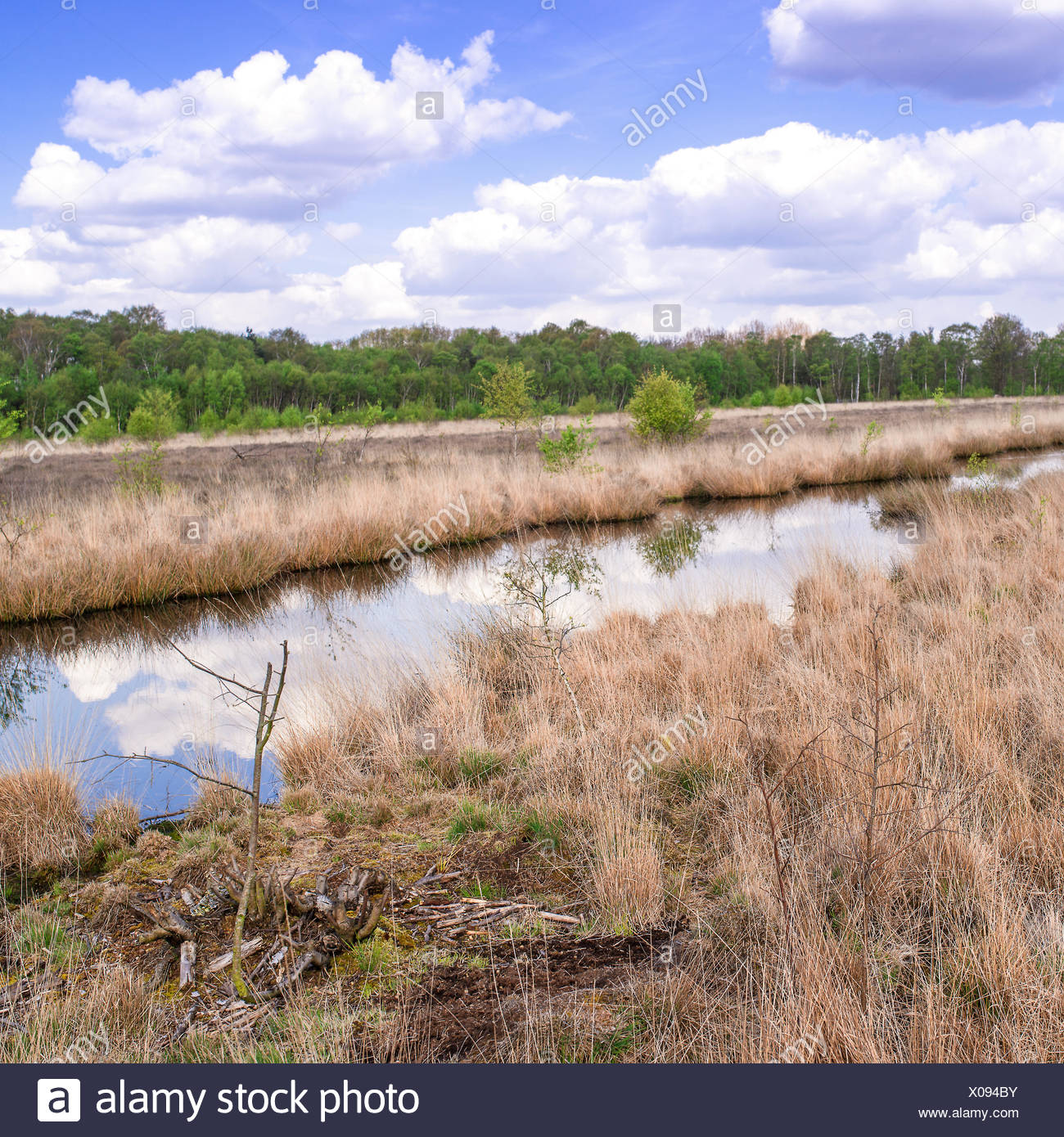 moor landscape Stock Photo