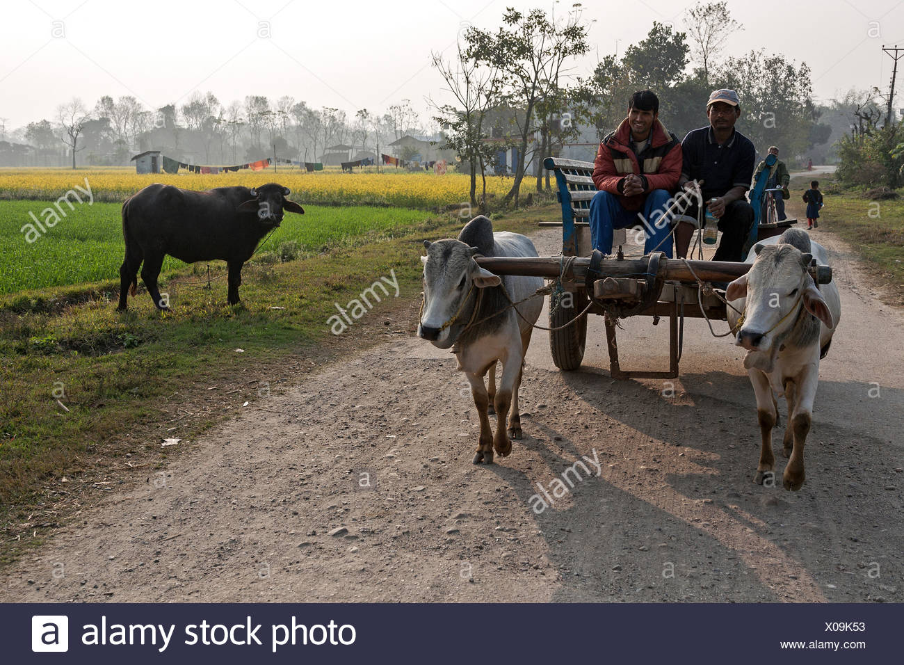 Two Country Carts High Resolution Stock Photography and Images Alamy