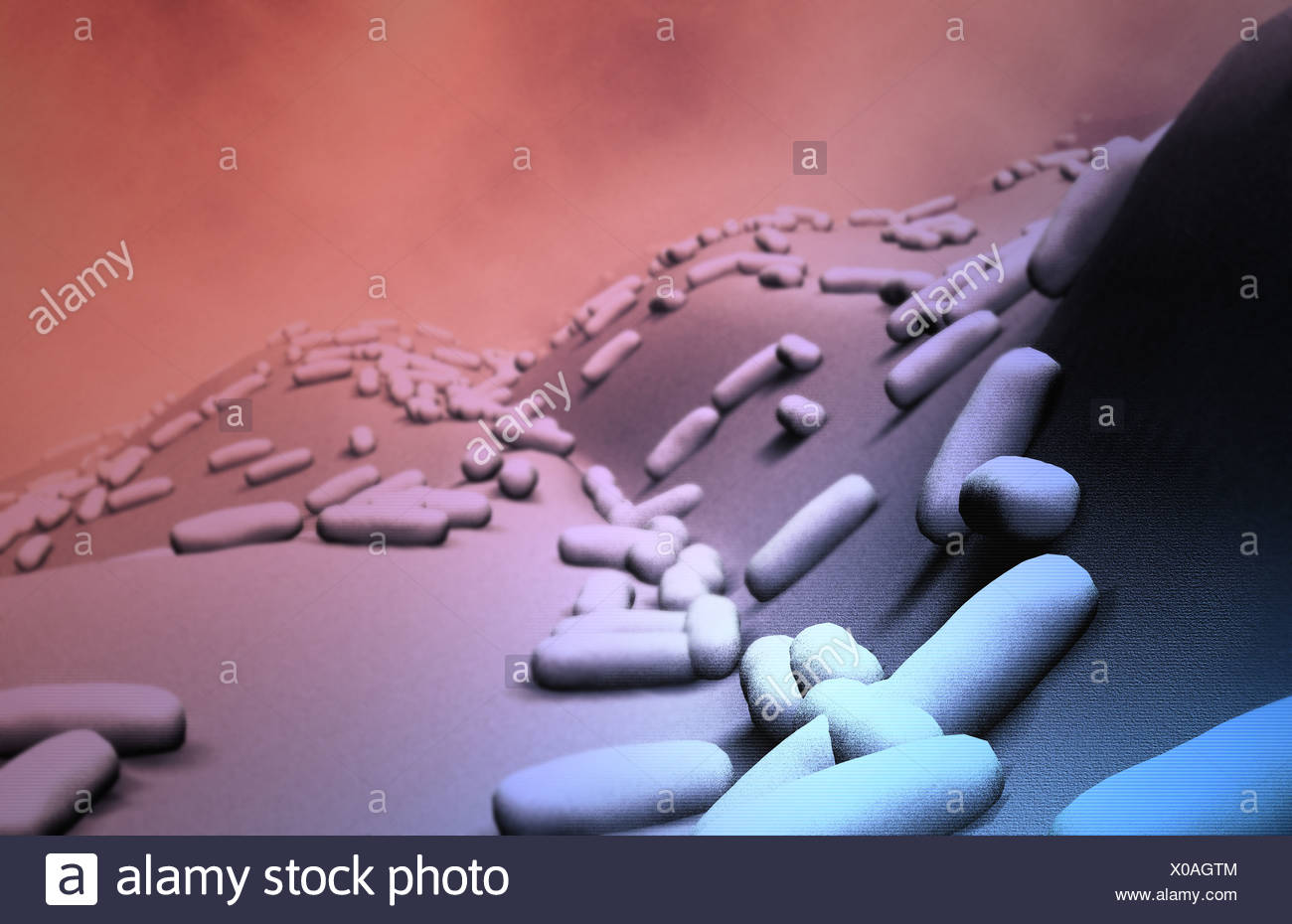 Tetanus Bacterium Stock Photos & Tetanus Bacterium Stock Images - Alamy