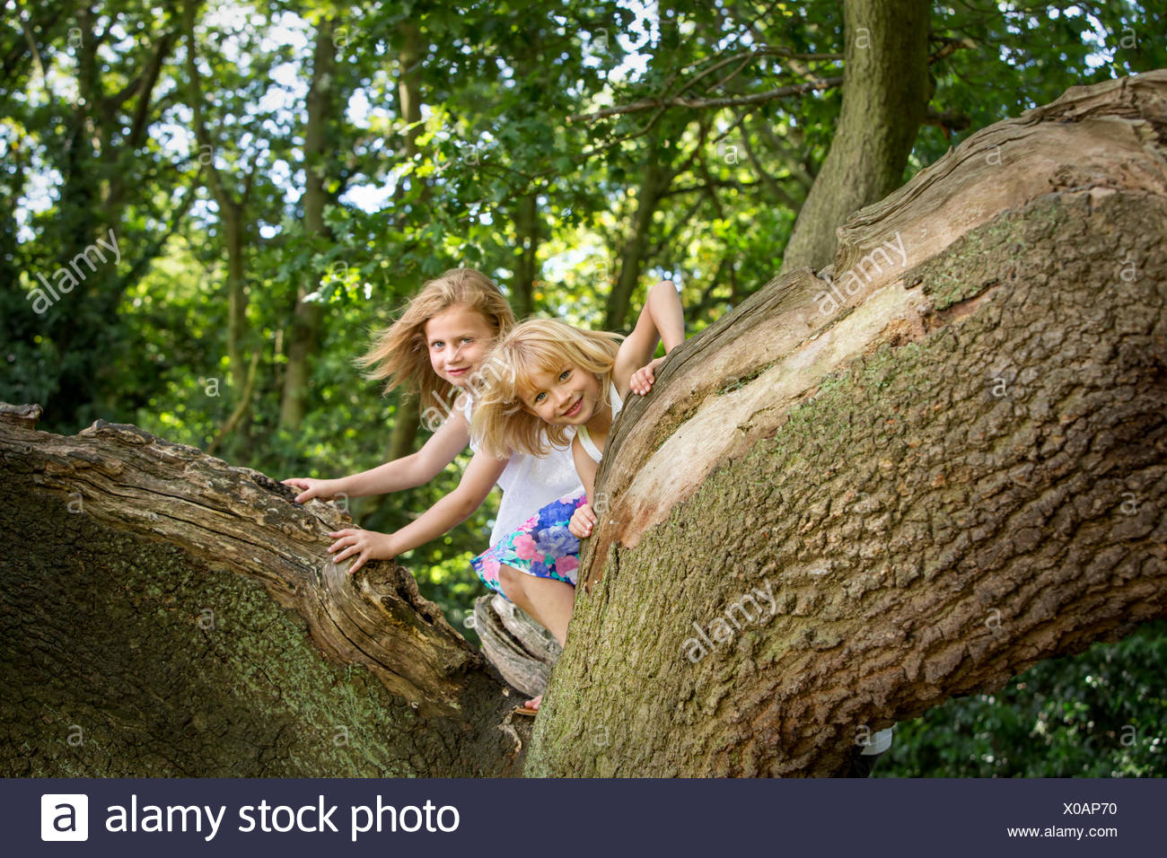 Girls Climbing Tree Stock Photos & Girls Climbing Tree Stock Images Alamy