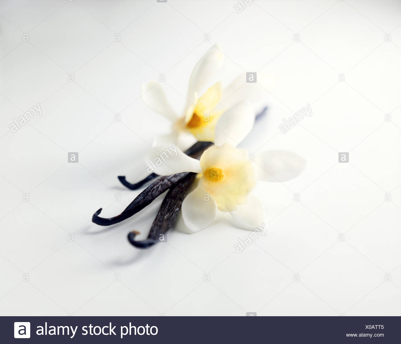 Vanilla Pods And Flowers High Resolution Stock Photography and Images